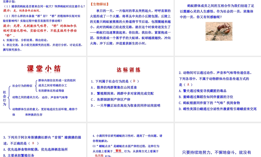 八年级生物上册 情境互动课型 5.2.3 社会行为课件 （新版）新人教版-（新版）新人教级上册生物课件
