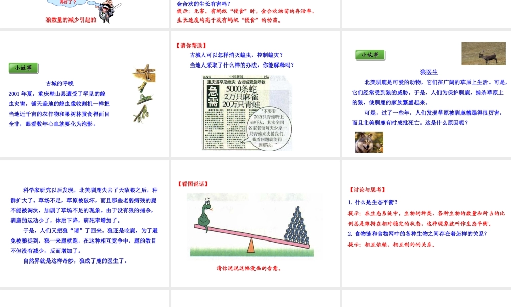 八年级生物上册 情境互动课型 5.3 动物在生物圈中的作用课件 （新版）新人教版-（新版）新人教版初中八年级上册生物课件