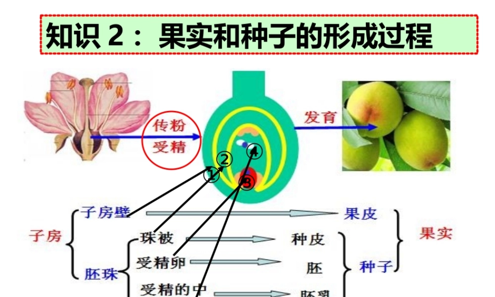 八年级生物上册 易错点复习课件 济南版-济南级上册生物课件