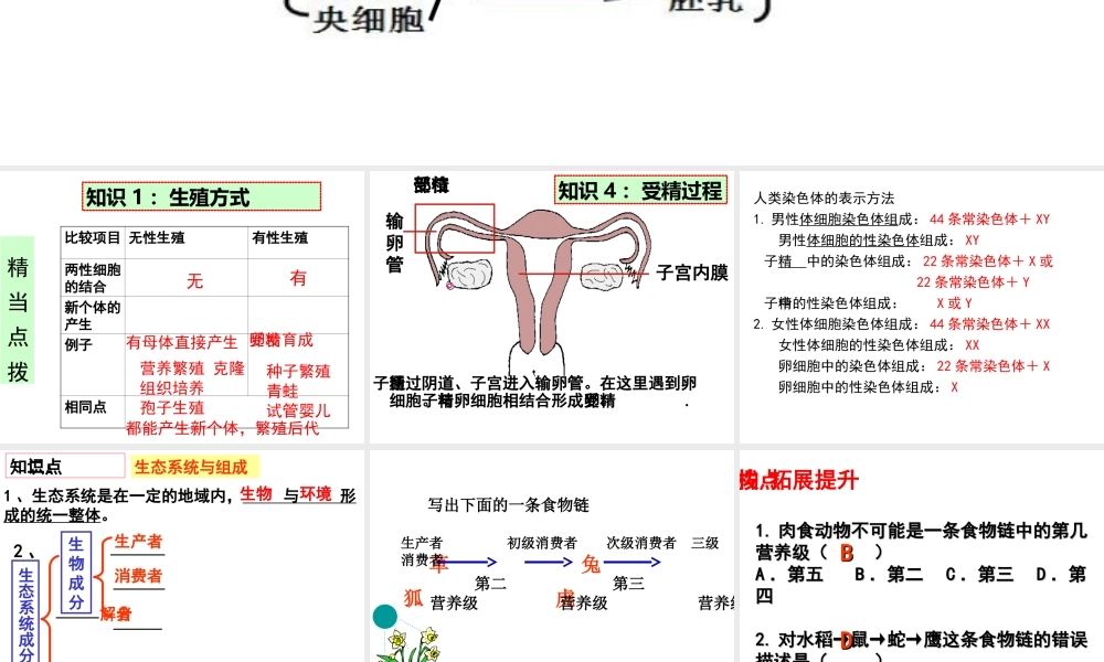 八年级生物上册 易错点复习课件 济南版-济南级上册生物课件