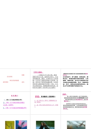 八年级生物上册 第5单元 第16章 第1节 先天性行为和后天学习行为课件 北师大版-北师大版初中八年级上册生物课件