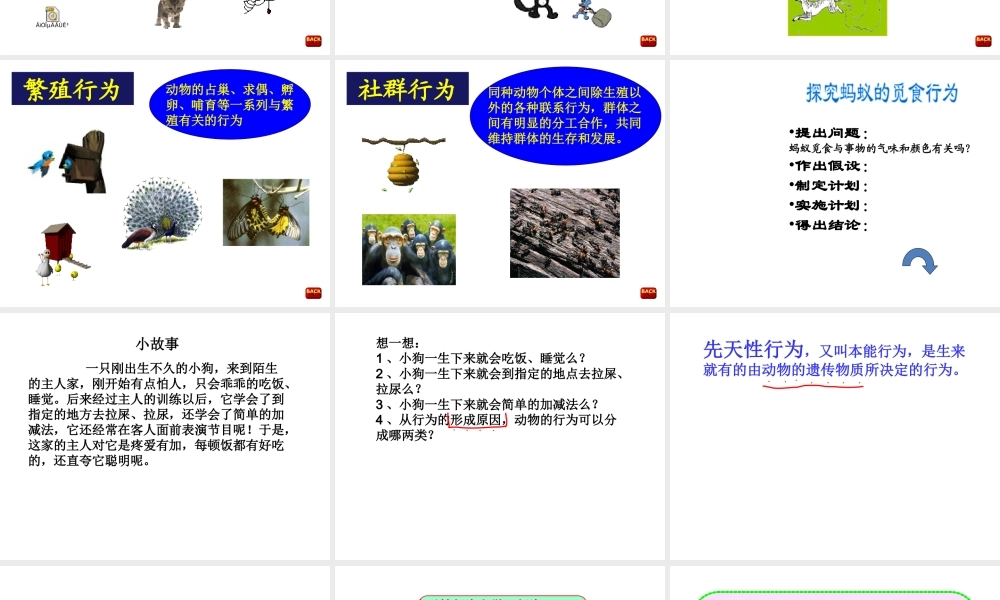 八年级生物上册 第16章 第2节 动物的行为课件 苏科版
