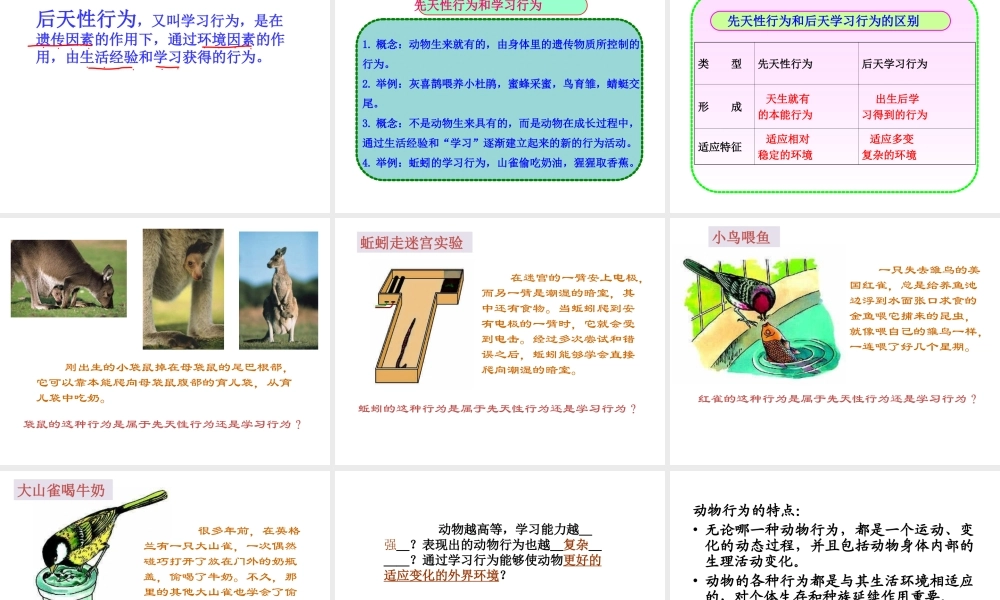 八年级生物上册 第16章 第2节 动物的行为课件 苏科版