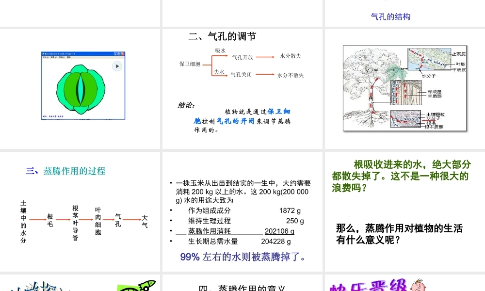 八年级生物上册 植物的生活与栽培--蒸腾作用课件 冀教版