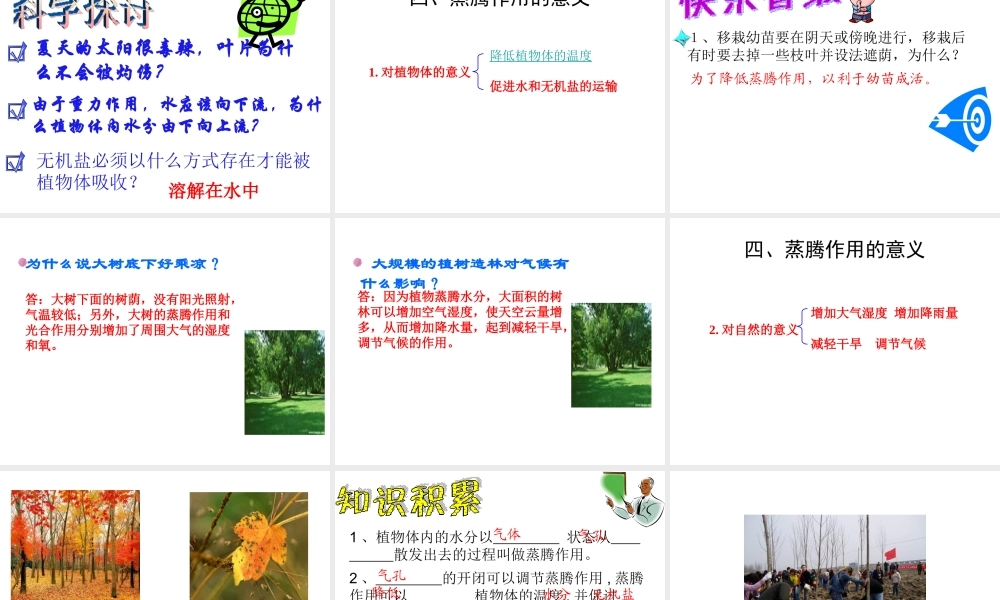 八年级生物上册 植物的生活与栽培--蒸腾作用课件 冀教版