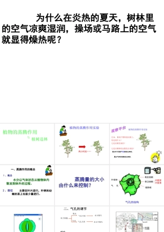 八年级生物上册 植物的生活与栽培--蒸腾作用课件 冀教版