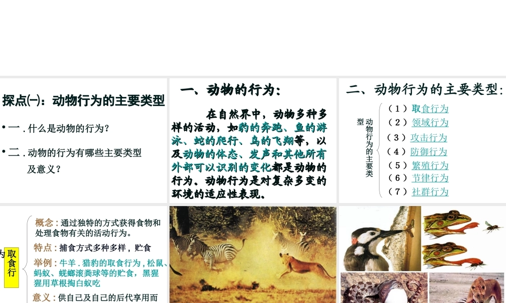 八年级生物上册 第5单元 第16章 第2节 动物行为的主要类型课件 北师大版-北师大版初中八年级上册生物课件