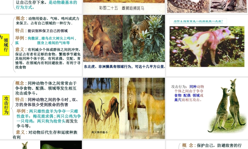 八年级生物上册 第5单元 第16章 第2节 动物行为的主要类型课件 北师大版-北师大版初中八年级上册生物课件