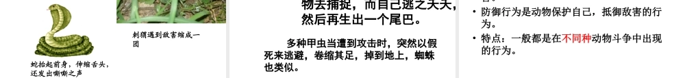 八年级生物上册 第5单元 第16章 第2节 动物行为的主要类型课件 北师大版-北师大版初中八年级上册生物课件