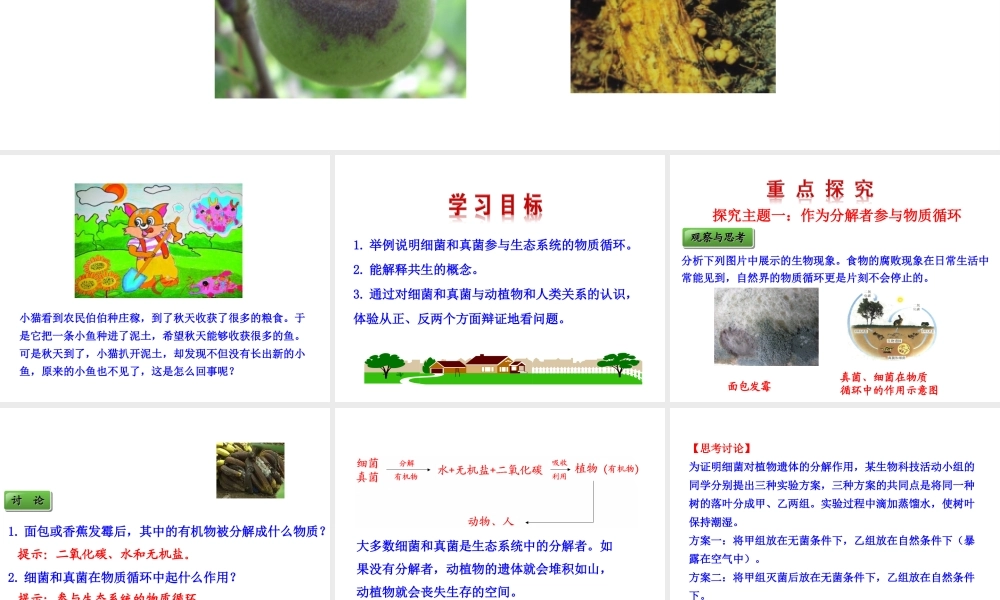 八年级生物上册 情境互动课型 5.4.4 细菌和真菌在自然界中的作用课件 （新版）新人教版-（新版）新人教版初中八年级上册生物课件