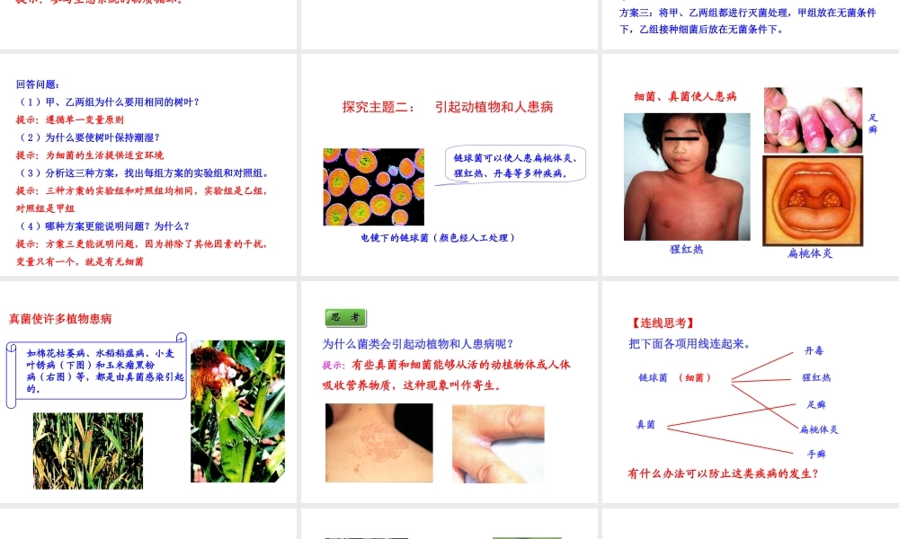 八年级生物上册 情境互动课型 5.4.4 细菌和真菌在自然界中的作用课件 （新版）新人教版-（新版）新人教版初中八年级上册生物课件