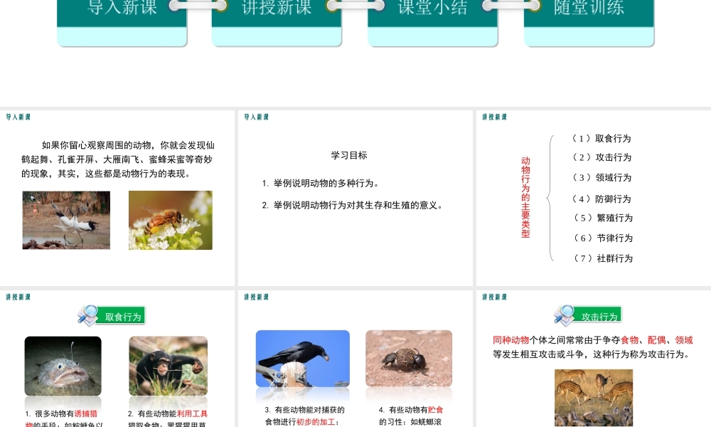 八年级生物上册 第16章 第2节 动物行为的主要类型课件 （新版）北师大版-（新版）北师大版初中八年级上册生物课件