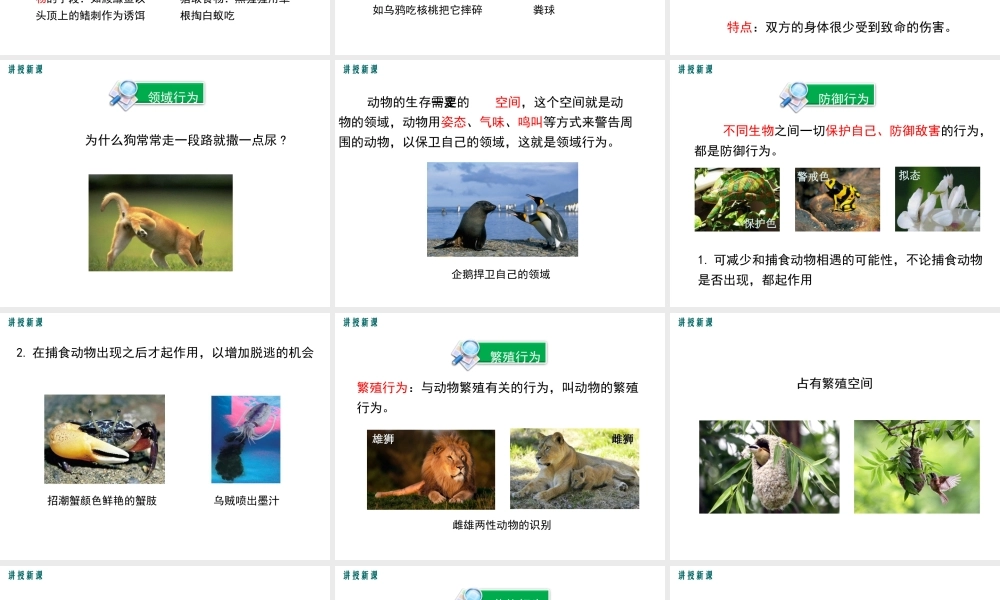 八年级生物上册 第16章 第2节 动物行为的主要类型课件 （新版）北师大版-（新版）北师大版初中八年级上册生物课件