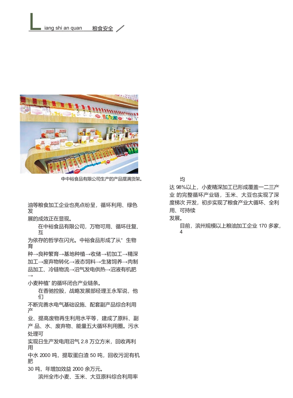 滨州粮食产业转型升级之道分析研究  经济学专业_第3页