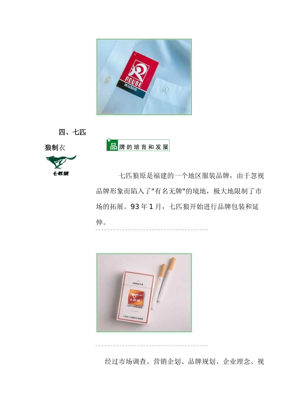 企业文化ci导入案例_第3页