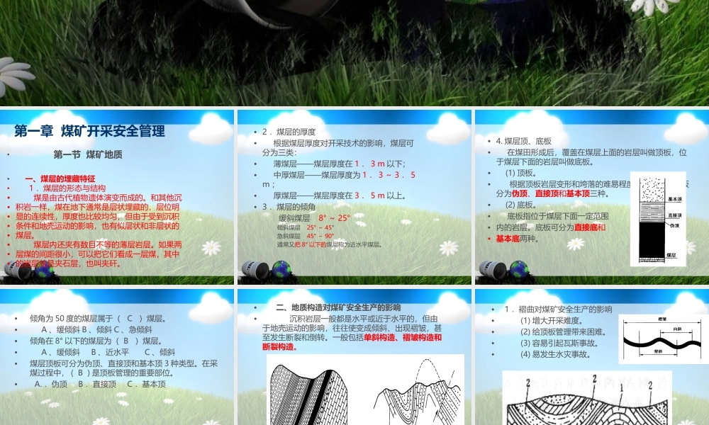 煤矿安全生产技术 特殊工培训