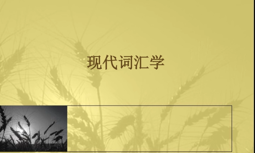 现代汉语词汇学文档课件