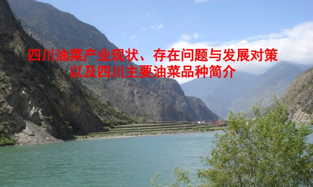 油菜产业现状及四川油菜品种简介分析