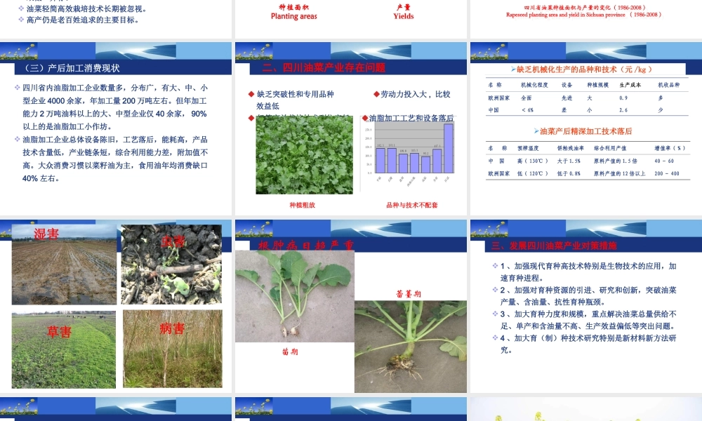 油菜产业现状及四川油菜品种简介分析