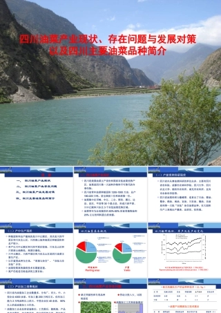 油菜产业现状及四川油菜品种简介分析