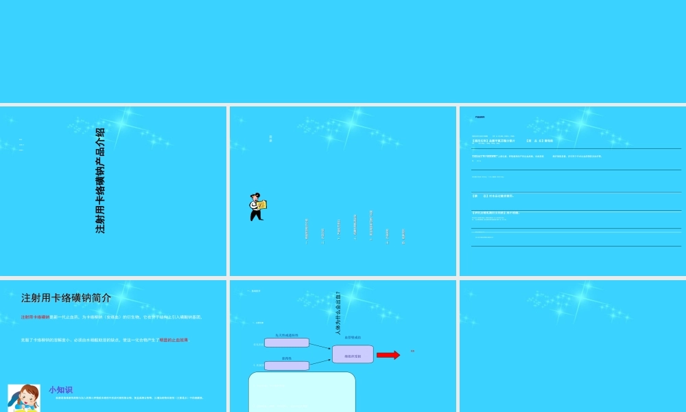 注射用卡络磺钠销售培训教材