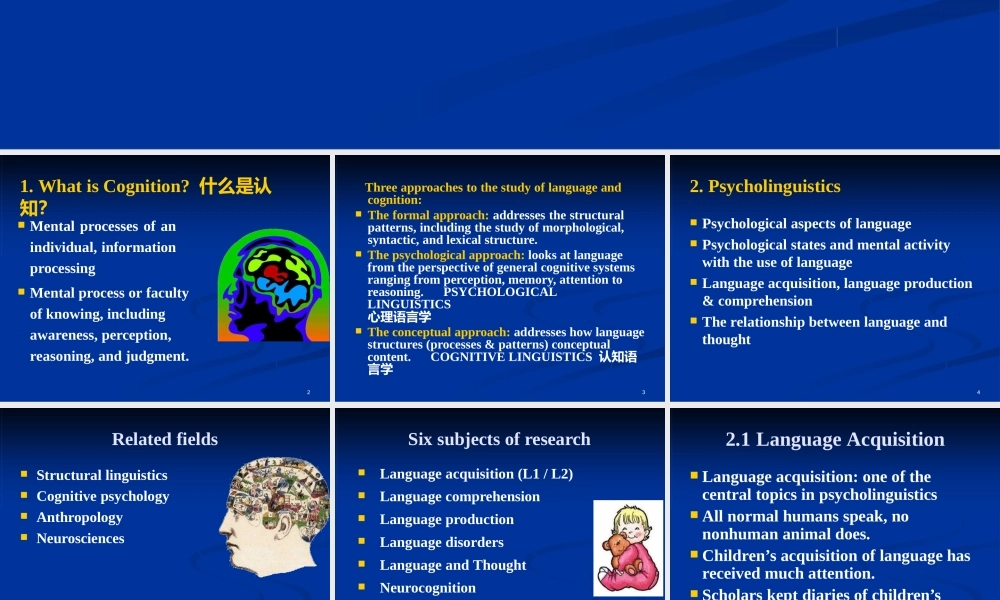 [高等教育]语言学课件chapter6languageandcognition