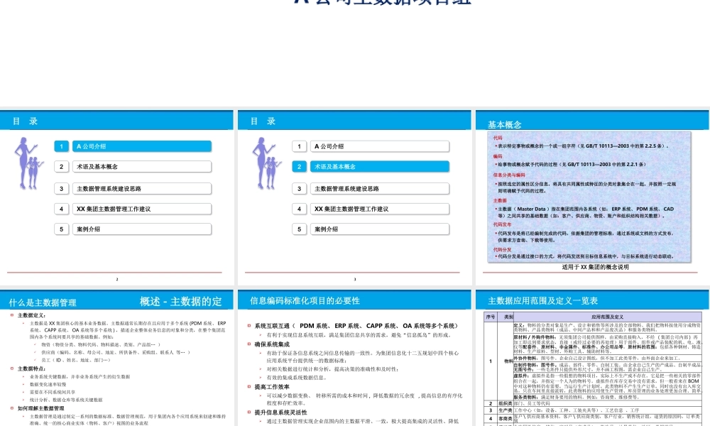 XX集团主数据管理系统解决方案课件