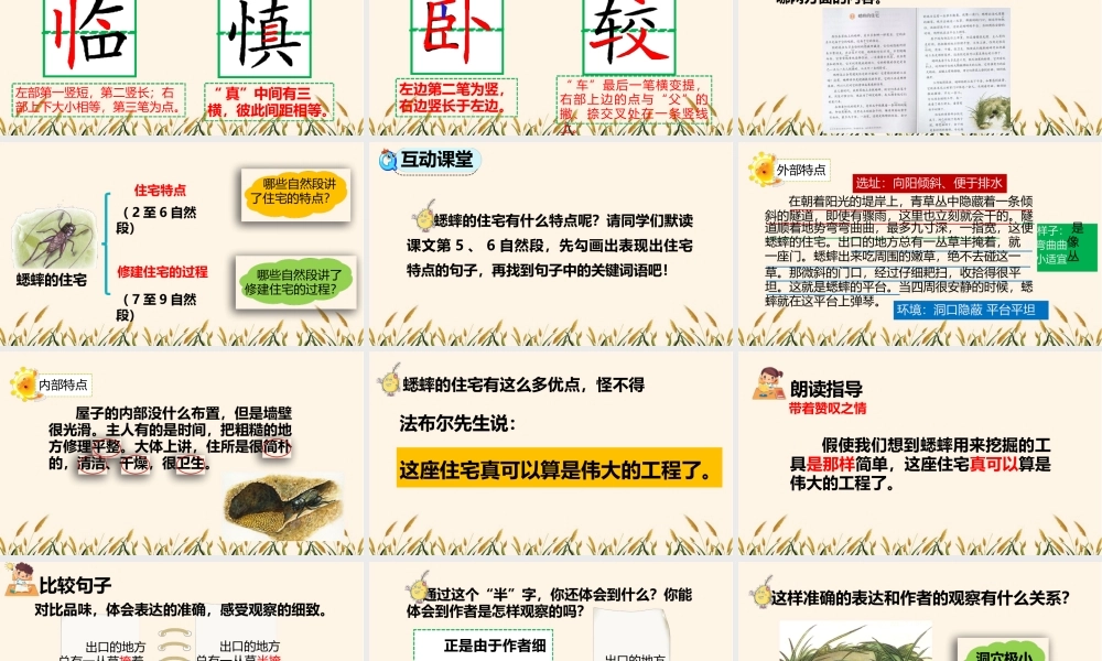 部编版四年级语文上册《蟋蟀的住宅》课件