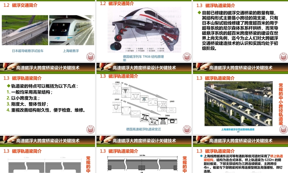 高速磁浮大跨度桥梁设计关键技术(研究生课程讲稿)