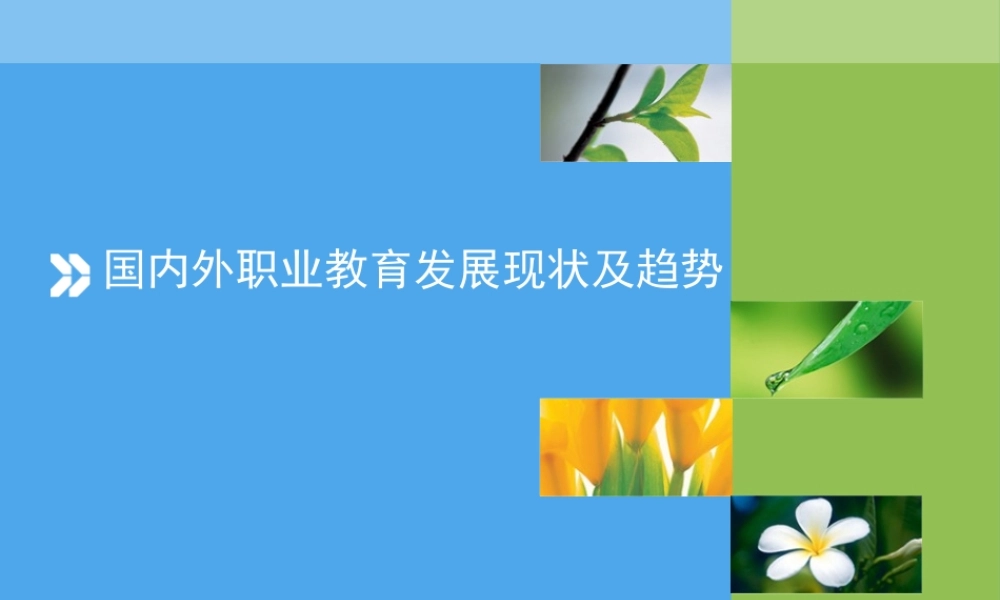 国内外职业教育发展现状及趋势