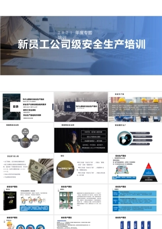精细化工企业新员工公司级安全生产培训课件