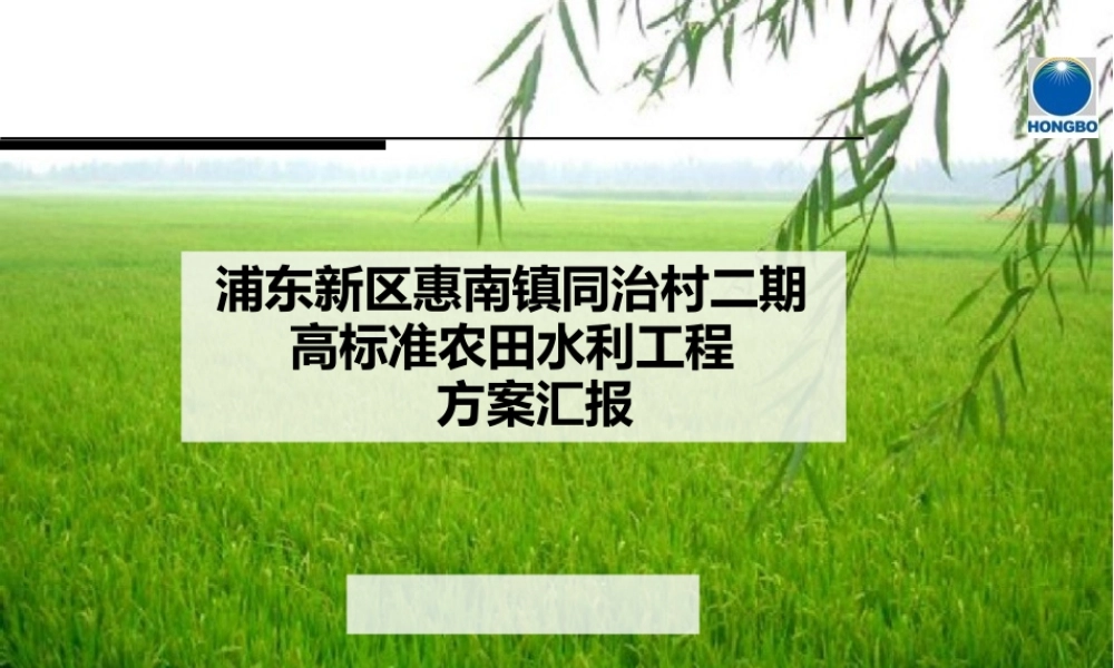浦东新区惠南镇同治村二期高标准农田水利工程方案汇报