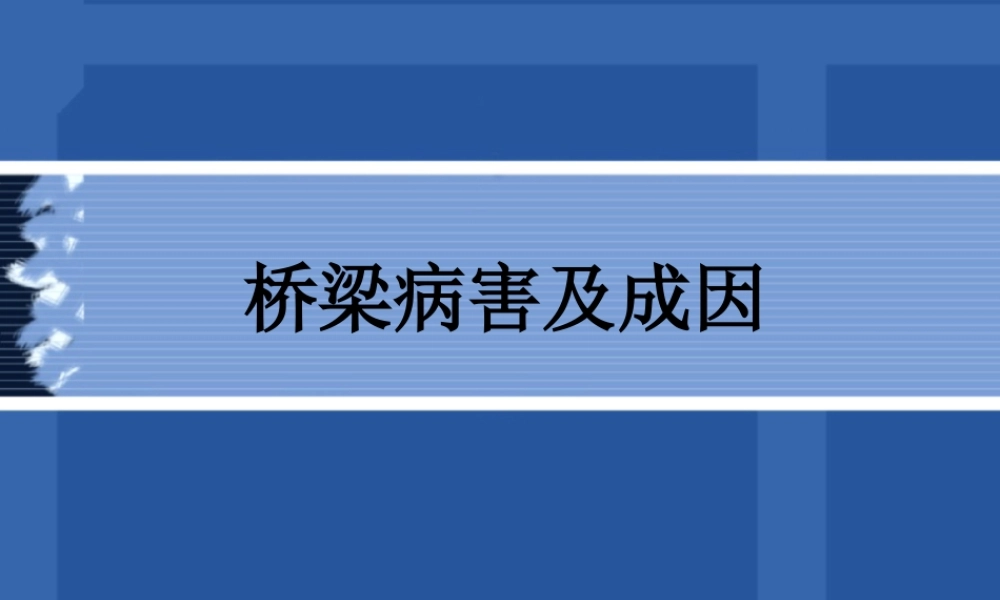 桥梁病害及成因与新-公路桥梁技术状况评定标准解析