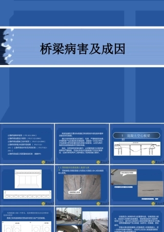 桥梁病害及成因与新-公路桥梁技术状况评定标准解析