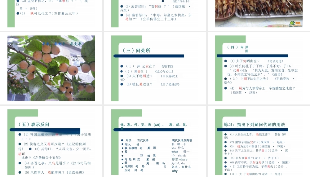 通论十：疑问句