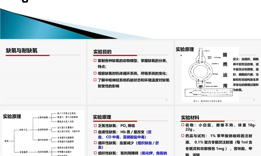 西安交通大学《机能实验学》5缺氧与耐缺氧