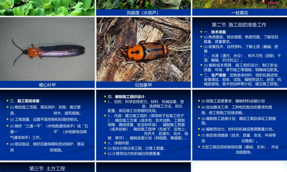 园林绿化施工与养护管理