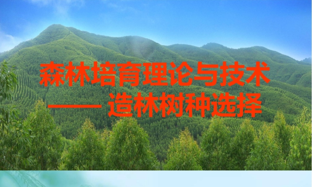造林树种选择