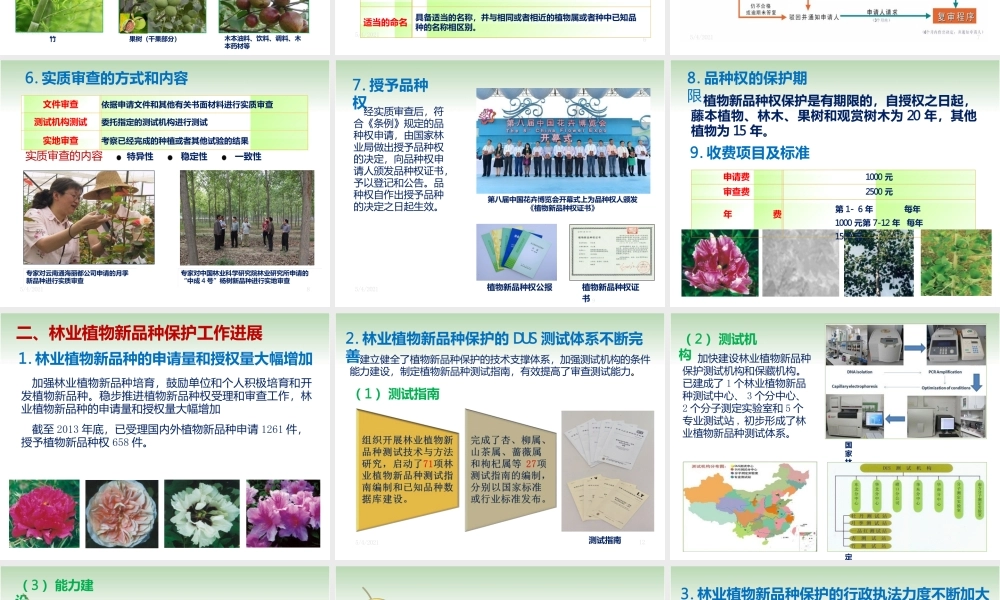 中国林业植物品种权保护讲义全