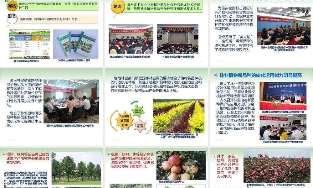 中国林业植物品种权保护讲义全