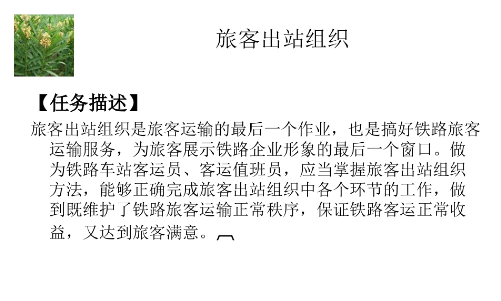 高铁站旅客出站组织