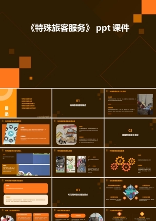 《特殊旅客服务》课件