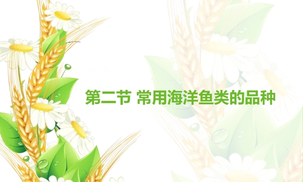 常见海洋鱼类的品种课件