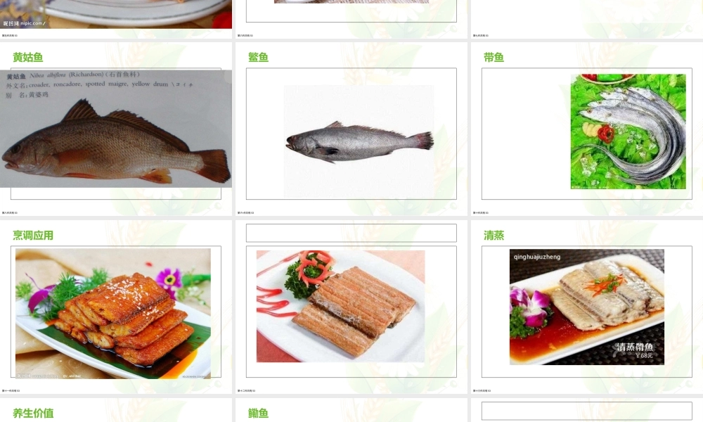 常见海洋鱼类的品种课件