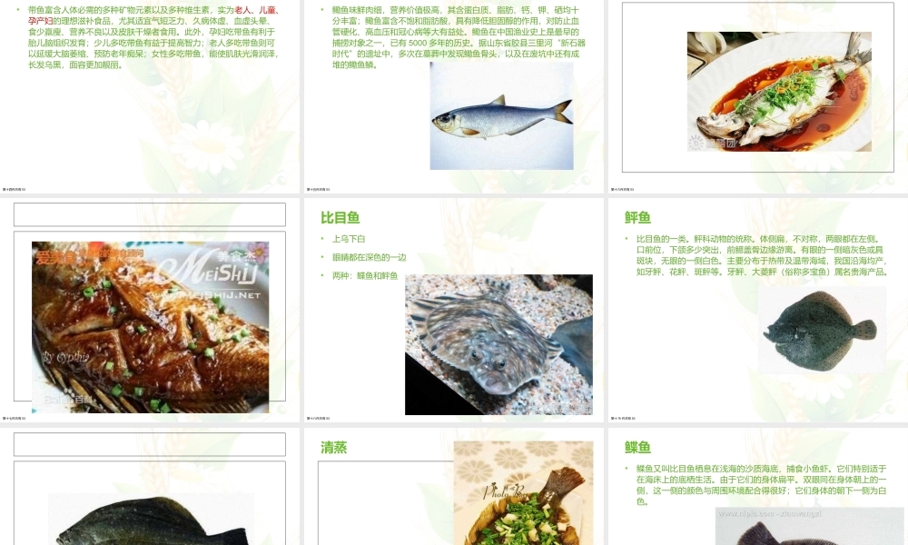 常见海洋鱼类的品种课件