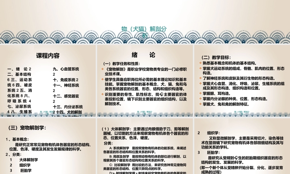 宠物（犬猫）解剖结构与系统分析