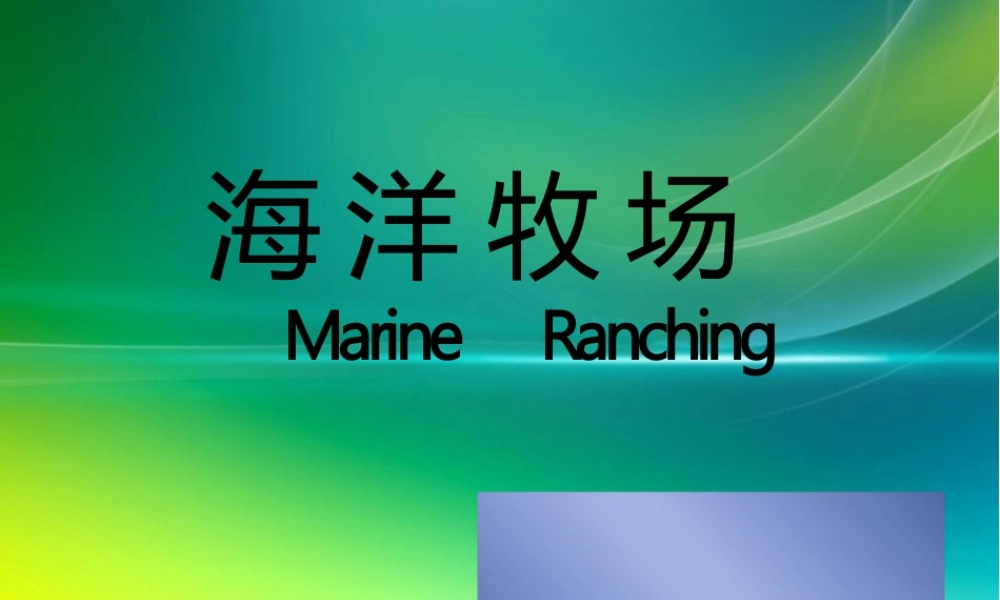 海洋牧场课件