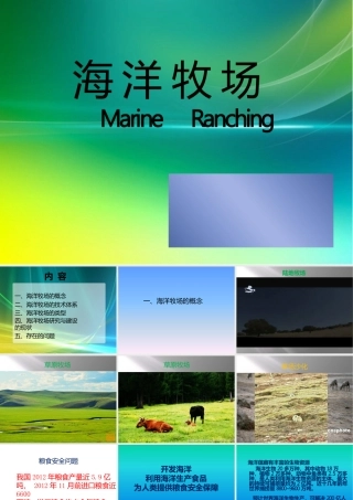 海洋牧场课件