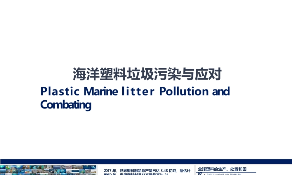 海洋塑料垃圾污染与应对