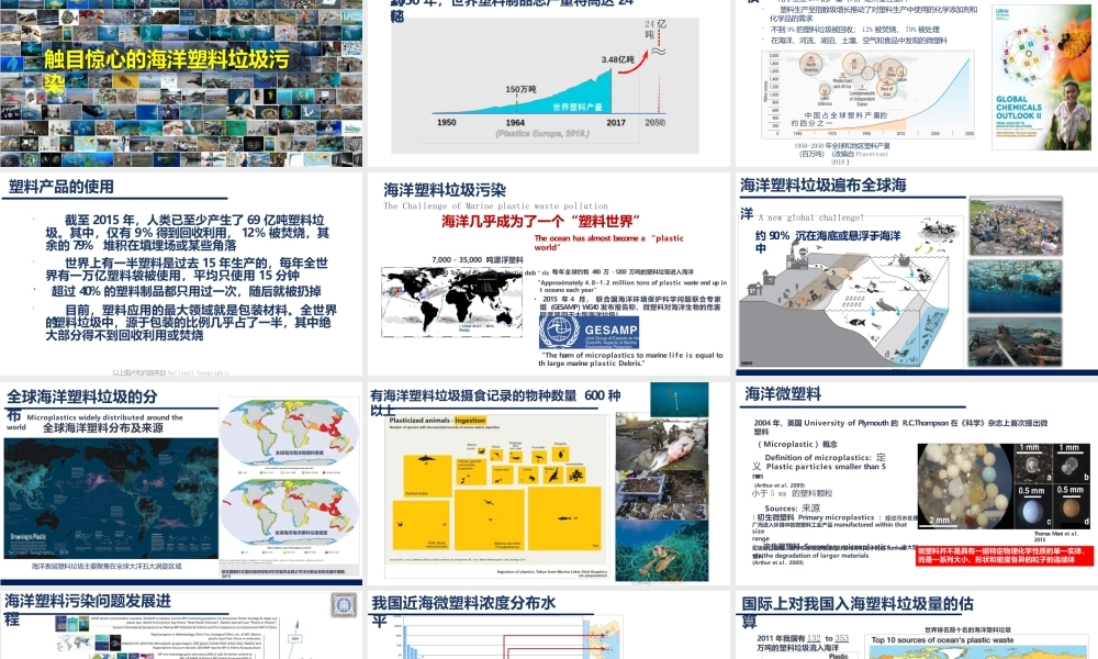 海洋塑料垃圾污染与应对
